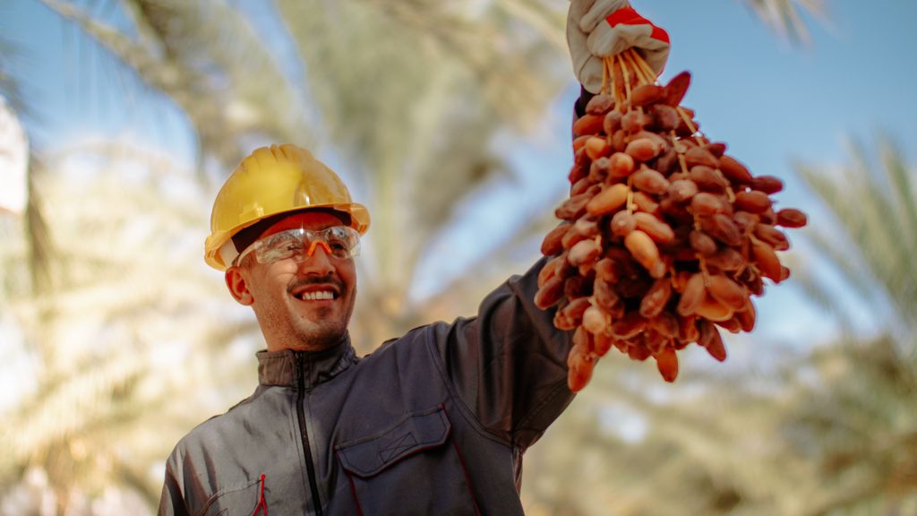 date fruit